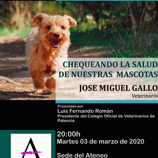 Chequeando la salud de nuestras mascotas